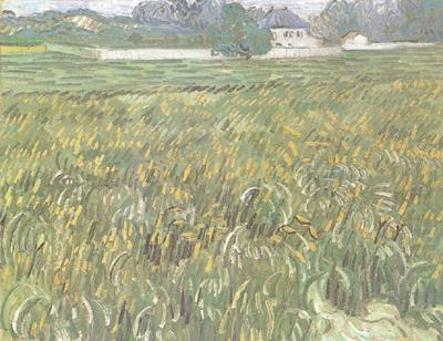 Vincent Van Gogh Wheat Field at Auvers with White House (nn04) china oil painting image